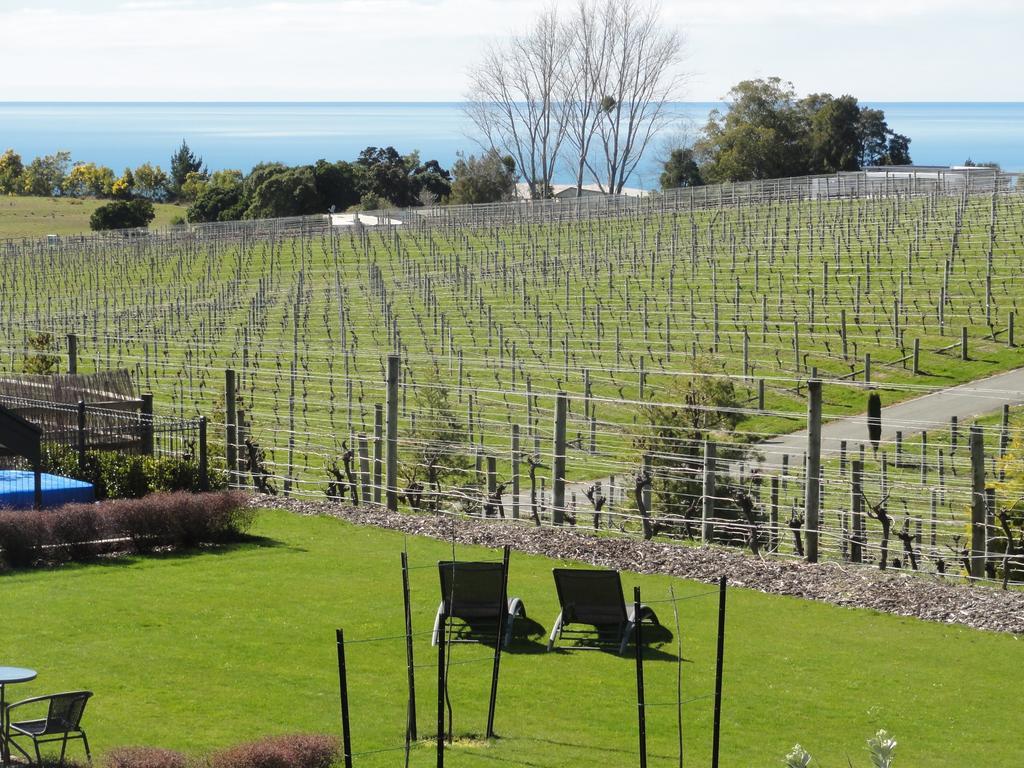 Pine Hill Lodge In Vineyard Mapua Exterior photo