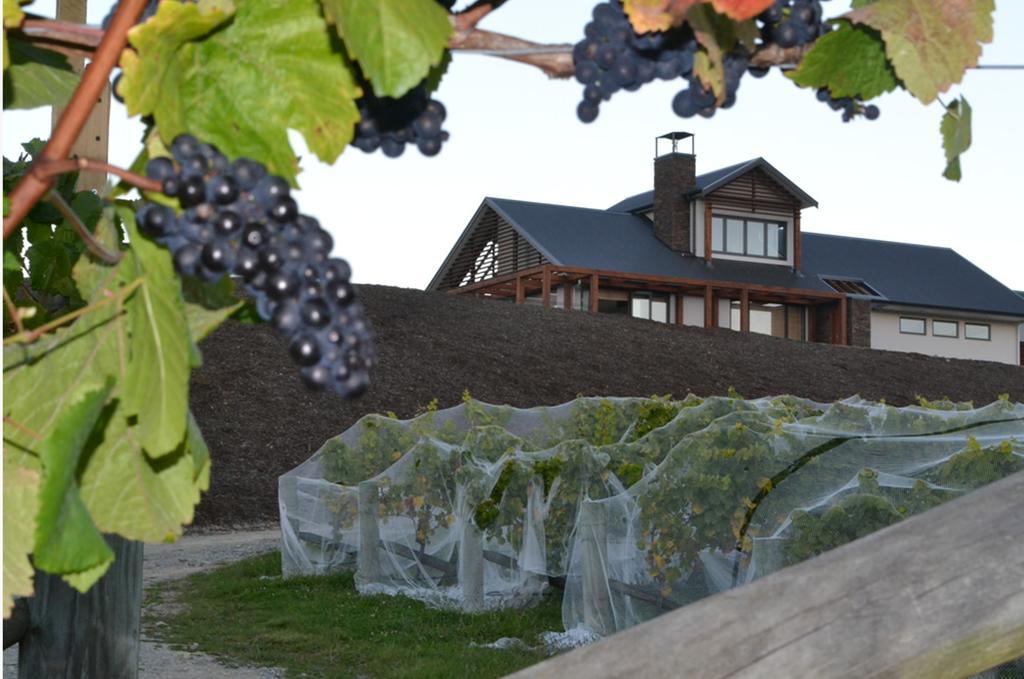 Pine Hill Lodge In Vineyard Mapua Exterior photo