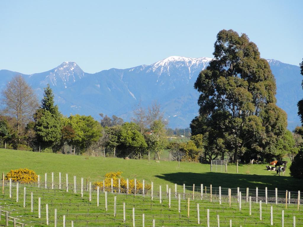 Pine Hill Lodge In Vineyard Mapua Exterior photo