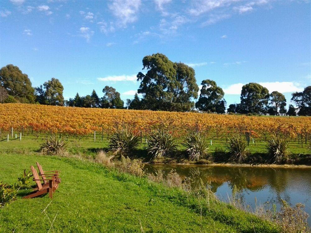 Pine Hill Lodge In Vineyard Mapua Exterior photo