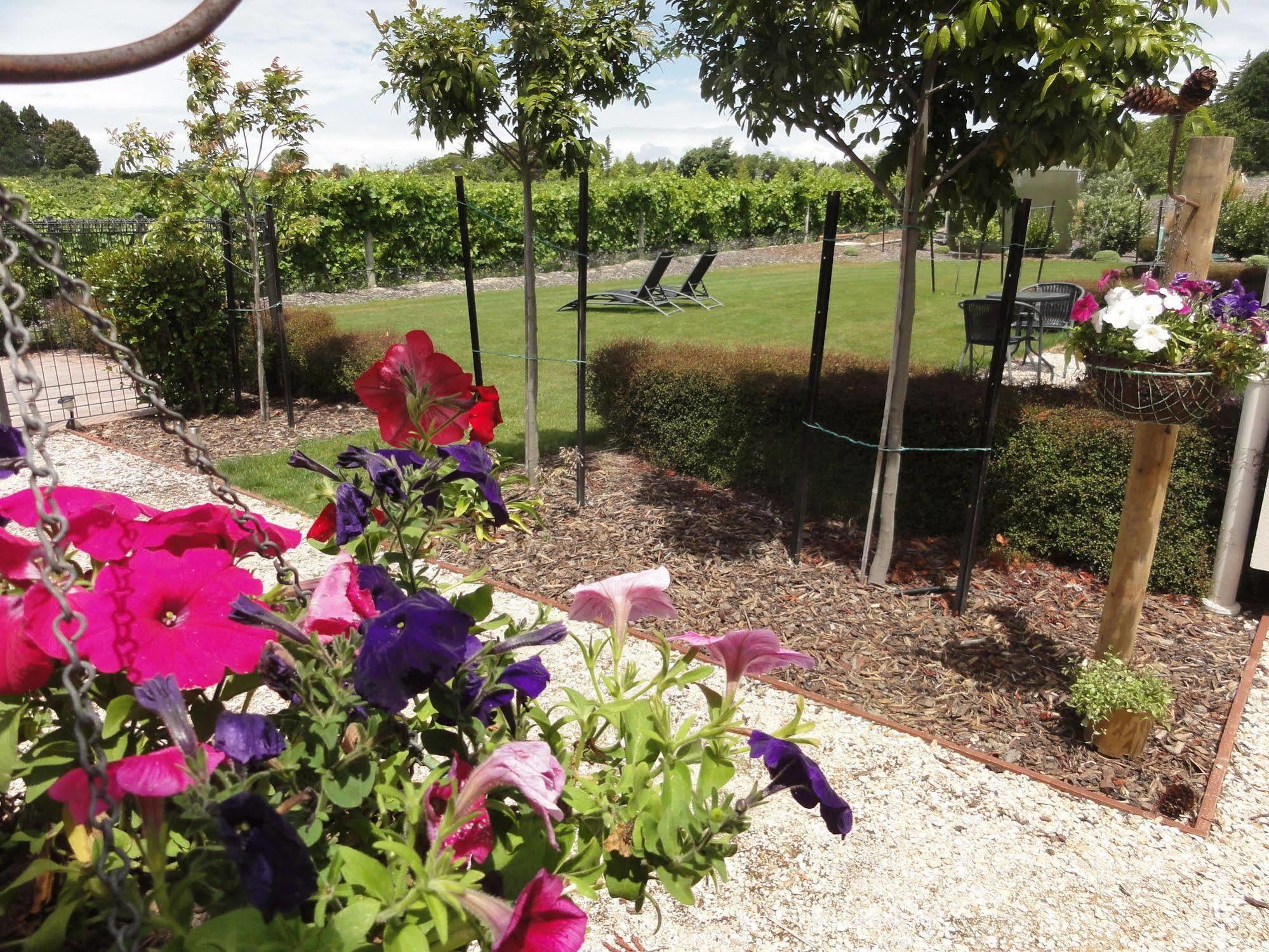 Pine Hill Lodge In Vineyard Mapua Exterior photo